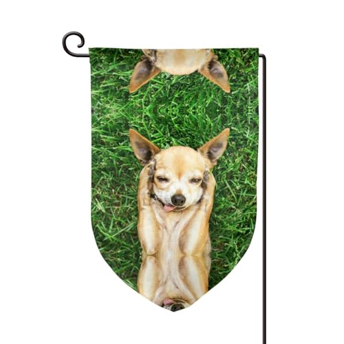 Chihuahua-Hunde-Druck, doppelseitige Premium-Gartenflagge, Gartenflaggen für Heimdekoration, wetterbeständig und doppelt genäht, 45,7 x 32,8 cm Chihuahua-Hunde-Druck, doppelseitige Premium-Gartenflagge, Gartenflaggen für Heimdekoration, wetterbeständig und doppelt genäht, 45,7 x 32,8 cm von EZDLOWVBA