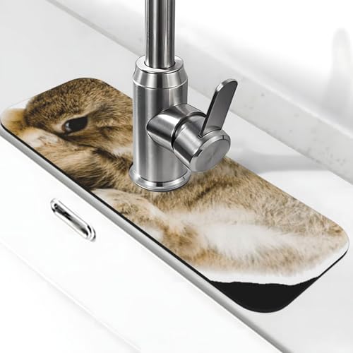 Cry Rabbit Druck Stein Wasserhahn Matte für Küchenspüle, Kieselgur-saugfähige Matte, Wasserhahn-Spritzschutz für Badezimmer Küche (38,1 x 14 cm) von EZDLOWVBA