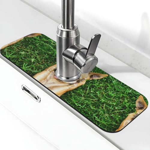 EZDLOWVBA Chihuahua-Hunde-Aufdruck, Stein-Wasserhahn-Matte für Küchenspüle, Kieselgur-saugfähige Matte, Wasserhahn-Spritzschutz für Badezimmer und Küche (38,1 x 14 cm) von EZDLOWVBA