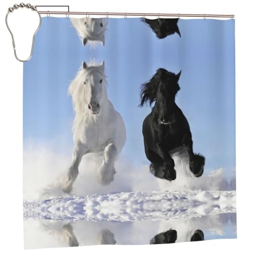 EZDLOWVBA Duschvorhang, Motiv: Pferde, 183,9 x 183,9 cm, schimmelresistent, Polyester, Badvorhang mit 12 Haken, waschbar, schnelltrocknend, Schwarz und Weiß EZDLOWVBA Duschvorhang, Motiv: Pferde, 183,9 x 183,9 cm, schimmelresistent, Polyester, Badvorhang mit 12 Haken, waschbar, schnelltrocknend, Schwarz und Weiß von EZDLOWVBA