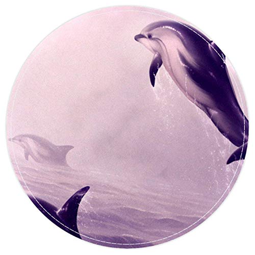 EZIOLY Grauer Delfin springt aus dem Wasser, rutschfest, waschbar, rund, Badematte, Bodenmatte für Wohnzimmer, Schlafzimmer, Küche, Baby-Spielzimmer, 40 x 40 cm von EZIOLY