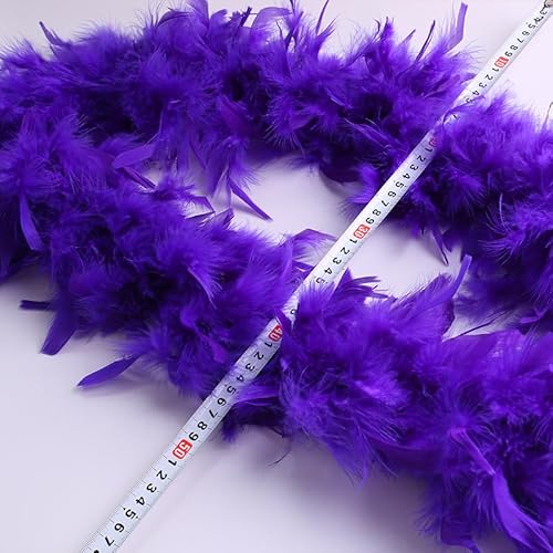 2M DIY handgemachte kreative Aufführung Kostüm Hochzeitskleid Schwanz weiß Truthahn Feuerscheibe lange Feder schwarz [Deep Purple 80g] von EZVFIRPDFZ