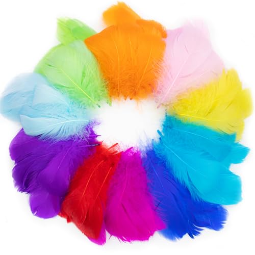 300 Stück farbige Federn für Kunsthandwerk natürliche Gänsefedern gemischte farbige Bastelfedern für DIY Hochzeit Zuhause Party Dekorationen Kinder Schule Handwerk 300 Stück farbige Federn für Kunsthandwerk natürliche Gänsefedern gemischte farbige Bastelfedern für DIY Hochzeit Zuhause Party Dekorationen Kinder Schule Handwerk von EZVFIRPDFZ
