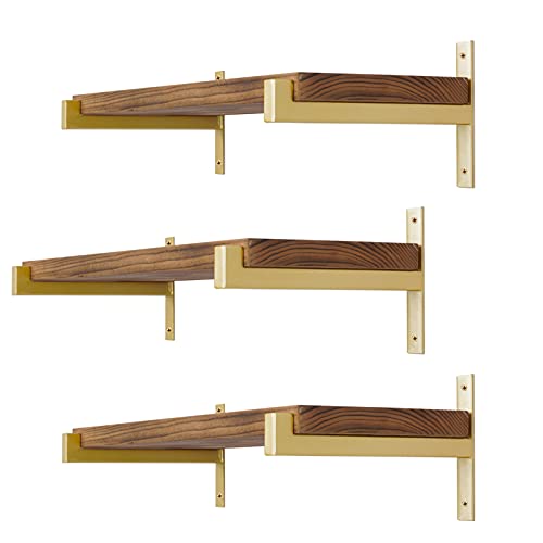 Regalhalterungen, robust, 31 cm, zur Wandmontage, industrielle Metallregalstützen mit Rand, 6 Stück, goldfarben von EZYDECOR