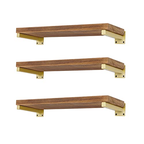 Robuste Regalhalterungen, 25,4 cm, Wandmontage, industrielle Metallregalstützen mit Lippe, 6 Stück von EZYDECOR