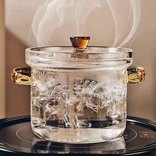 1,5 l/50 oz Glas Suppentopf mit doppeltem Griff und Deckel, transparente Hochtemperaturbeständige Kochtopf, Borosilicatglas Kochgeschirr, Glas Kochtopf für Suppe, Eintopf und mehr von Eachave