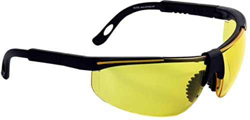 Eagle Runner Arbeitsschutzbrille mit austauschbaren Gläsern, Runner von Eagle