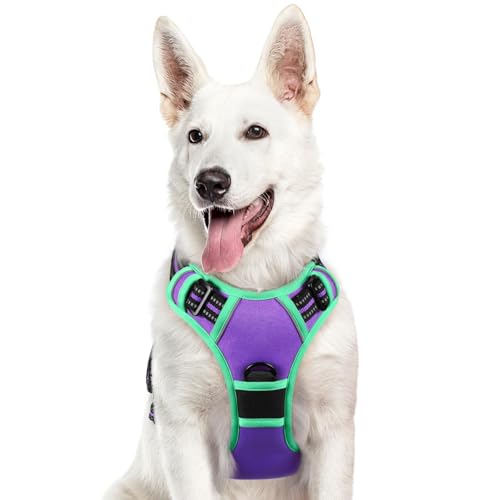 Eagloo Hundegeschirr Grosse Hunde, Anti Zug Hundegeschirr mit Reflexstreifen und Kontrolle, Verstellbar und Einstellbar Geschirr Hund Groß, Brustgeschirr für Labrador, Mintgrün & Lila, XL Eagloo Hundegeschirr Grosse Hunde, Anti Zug Hundegeschirr mit Reflexstreifen und Kontrolle, Verstellbar und Einstellbar Geschirr Hund Groß, Brustgeschirr für Labrador, Mintgrün & Lila, XL von Eagloo