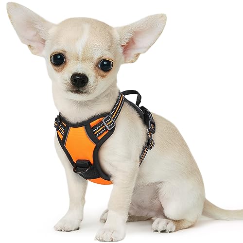Eagloo Hundegeschirr Kleine Hunde, Anti Zug Hundegeschirr mit Reflexstreifen und Kontrolle, Verstellbar, Einstellbar und Langlebige Brustgeschirr Hund, Geeignet zum Gehen und Joggen, Orange, XS von Eagloo