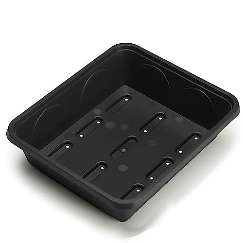 EarlyGrow MPL50042/S/H Anzuchtschale, robust, klein, mit Ablauflöchern, 21,5 x 17,5 x 5,5 cm von EarlyGrow