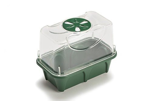 EarlyGrow MPL50077/1 Mini-Anzuchtkasten, 16 x 10 x 12 cm, Grün von EarlyGrow