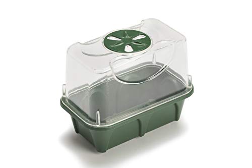 EarlyGrow MPL50077/3 Mini-Anzuchtkasten mit hoher Oberseite, 16 x 10 x 12 cm, Grün, 3 Stück von EarlyGrow