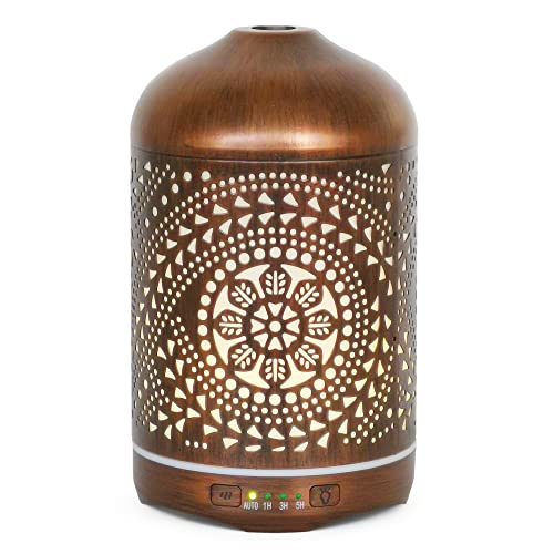 Earnest Living Essential Oil Diffuser Metal Diffuser 250 ml Timers Night Lights and Auto Off Function Home Office Humidifier Aromatherapy Diffusers for Essential Oils Earnest Living Essential Oil Diffuser Metal Diffuser 250 ml Timers Night Lights and Auto Off Function Home Office Humidifier Aromatherapy Diffusers for Essential Oils von Earnest Living