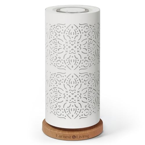 Earnest Living Wasserloser Diffusor für ätherisches Öl, 100 ml, Vernebelungsdiffusionssystem, Aromatherapie-Diffusor, Metall, kühler Nebel, Luftbefeuchter, Kaltluft-Duftmaschine für das Wohnzimmer von Earnest Living