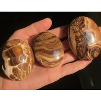 3 Stück Braune Schokolade Calcit Palmen , Polierstein 293Gr | 34 von EarthMineralsCo
