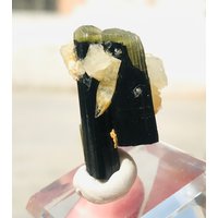 Twin Green Cap Turmalinkristall Mit Albit Aus Der Stak Nala Mine Skardu Pakistan | 00 von EarthMineralsCo
