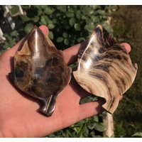 2 Stück Schoko Calcit Blätter " Polierter Stein ; Geschenkstein Schokoladenkristall | 22 von EarthMineralsLTD