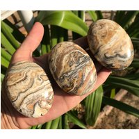 3 Stück Braune Aragonit Palmen/Heilstein 383Gr | 33 von EarthMineralsLTD