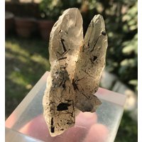 Natürliche Schwarze Turmalinkristalle Mit Quarzkristall, Rutilquarz, Chlorquarz Touminierter Quarzkristall | 35 von EarthMineralsCo