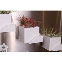 Kühlschrankmagnet Treppenpflanzer, Perfekt Für Den Anbau Von Luftpflanzen Oder Als Einweihungsgeschenk von EarthlyTent