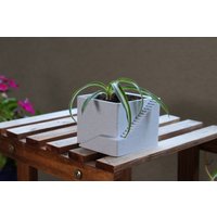 Süßer Blumentopf/Mit "Drainagelöchern' Süßer Blumentopf/Mit "Drainagelöchern' von EarthlyTent