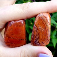 Feuerachat A-Qualität, Getrommelt Und Handpoliert, Natürlicher Heilkristall-Edelstein, Display Oder Verpackungsstein - 2Tlg von EarthsRocks