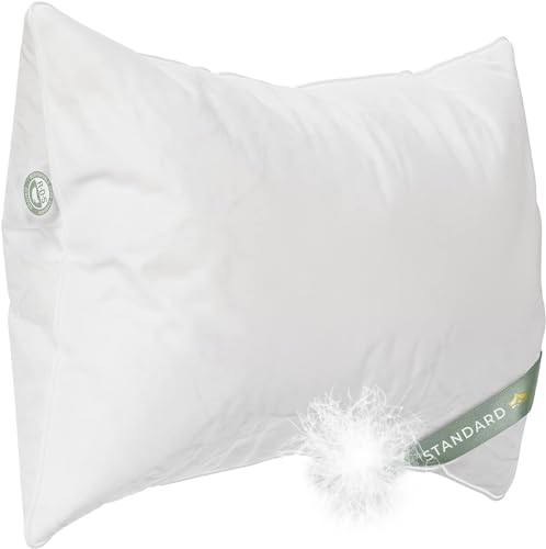 East Coast Bedding - Kissen in Standardgröße 1 Stück - Weiches Luxushotelkissen für ein Luxusbett - 100% europäische Gänsedaunen Kissen 800FP - Federloses Kissen zum Schlafen East Coast Bedding - Kissen in Standardgröße 1 Stück - Weiches Luxushotelkissen für ein Luxusbett - 100% europäische Gänsedaunen Kissen 800FP - Federloses Kissen zum Schlafen von East Coast Bedding