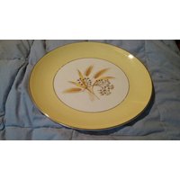 Century Service 10 Zoll Speiseteller "Autumn Gold" Semi Vitreous Made in Allianz, Ohio von EastIdahoCompany