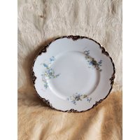 Seltene Hutschenreuther, Selb, Deutschland, 19 cm Weißer Salatteller Mit Platinrand, Blaue Teerose Swag Flower Design, Fine Dining Seltene Hutschenreuther, Selb, Deutschland, 19 cm Weißer Salatteller Mit Platinrand, Blaue Teerose Swag Flower Design, Fine Dining von EastIdahoCompany