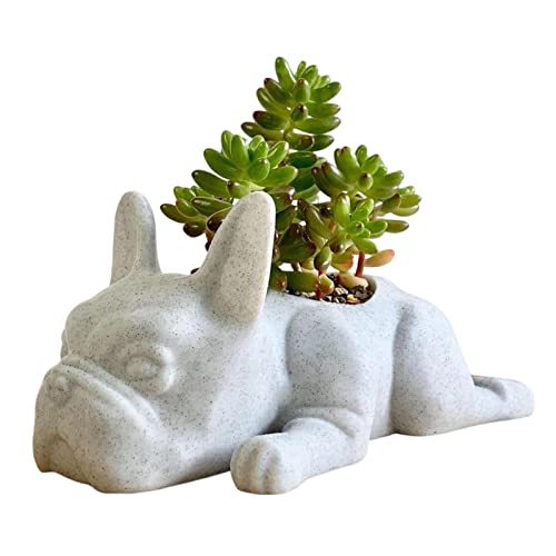 Eastuy Französische Bulldogge Blumentopf | Dekorative Vase - Harztöpfe für Zimmerpflanzen, moderner dekorativer Pflanztopf für Zimmerpflanzen, Schreibtisch, Nachttisch, Schrank von Eastuy