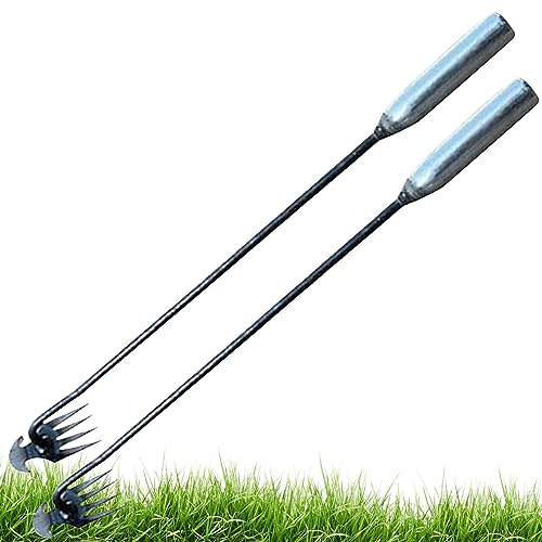 Eastuy Graszieher - Ergonomischer Griff, Graszieher mit 4 Zähnen,Verschleißfestes Grashandhabungszubehör für eine angenehme Umgebung auf Feld, Terrasse, Garten, Rasen und Park von Eastuy