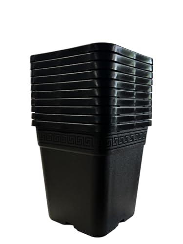 Easy Act 10x Topf viereckig 22,5 x 22,5 x 24cm (9L) Pflanztopf Vierkant-Topf Blumentopf Pflanzgefäß Blumenkübel Anzucht-Topf | 10er Pflanzcontainer-Set von Easy Act