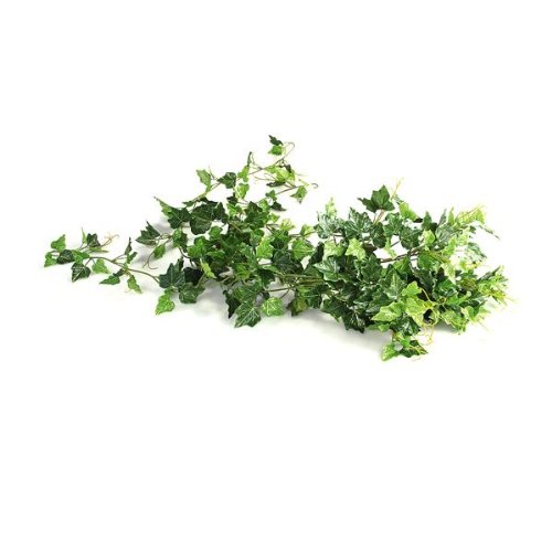 Easy Provider® 1x Efeugirlande Kunstpflanze Künstliche Pflanzen Efeu Plastik 80cm-1m TOP von Easy Provider