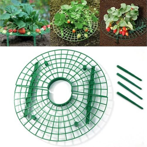 10 x Erdbeerstützen – Gartenpflanzenstütze für Erdbeeren, um Obst zu erhöhen, um Bodenfäule zu vermeiden von EasyByMall