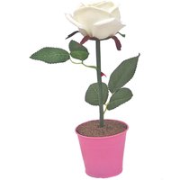 LED Rose weiß/pink LED Rose weiß/pink von Easylight