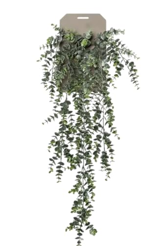 Easyplants Hängepflanze Eukalyptus 75 cm von Easyplants