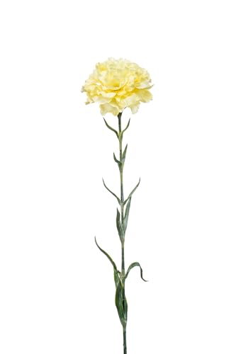 Easyplants Künstliche Blume Nelke 67 cm gelb von Easyplants