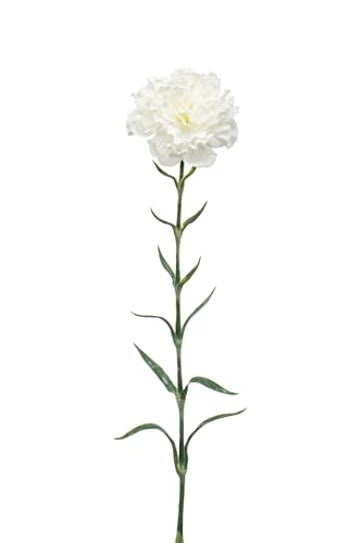 Easyplants Künstliche Blume Nelke 67 cm weiß von EASYPLANTS