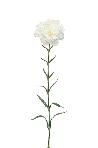 Easyplants Künstliche Blume Nelke 67 cm weiß von Easyplants