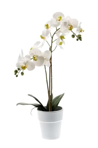 Easyplants Künstliche Orchidee Phalaenopsis weiß 65 cm von Easyplants