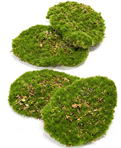 Easyplants künstliches Moos, Dekomoos, Moos Platten 4 Stück im Beutel grün Emerald von Easyplants