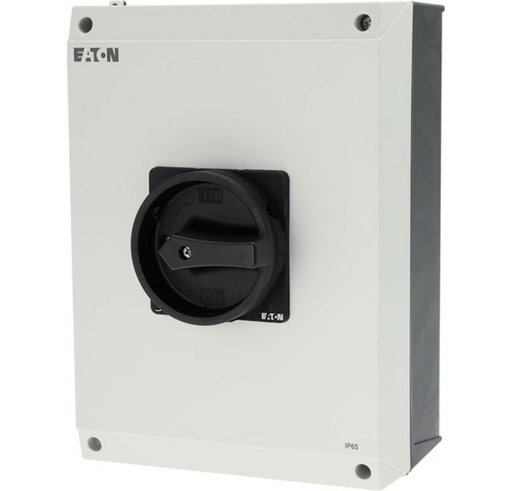 EATON Schalter Eaton P3-100/I5/SVB-SW/HI11 Wartungsschalter für Bodenbefestigung, ver (P3-100/I5/SVB-SW/HI11) von Eaton