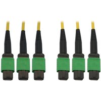 Eaton Tripp Lite Series 40/100G Singlemode 9/125 OS2 Fiber Optic Kabel (3x8F MTP/MPO-APC F/F), 30 m von Eaton