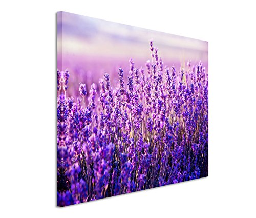 Eau Zone GmbH Kunstdruck auf Leinwand 120x80cm Bild – Lavendelfelder im Sommer von Eau Zone GmbH