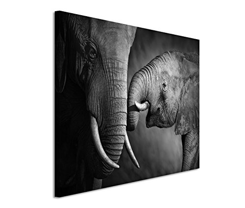 Eau Zone GmbH Kunstdruck auf Leinwand 120x80cm Tierfotografie – Elefantenmutter mit Kind von Eau Zone GmbH