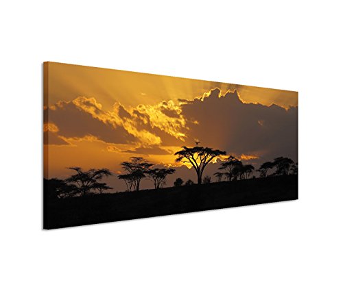 Eau Zone GmbH Kunstdruck auf Leinwand 150x50cm Landschaftsfotografie – Afrikanischer Sonnenuntergang im Akazienhain von Eau Zone GmbH