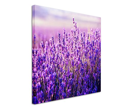 Eau Zone GmbH Kunstdruck auf Leinwand 90x90cm Bild – Lavendelfelder im Sommer von Eau Zone GmbH