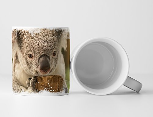 Eau Zone Fotokunst Tasse Geschenk Kleiner Koalabär von Eau Zone