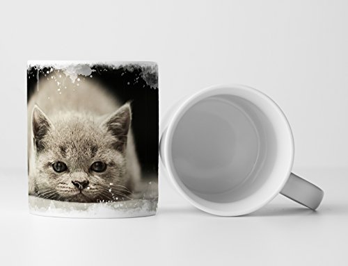 Eau Zone Fotokunst Tasse Geschenk Tierfotografie – Dösendes Britisch Kurzhaar Kätzchen von Eau Zone