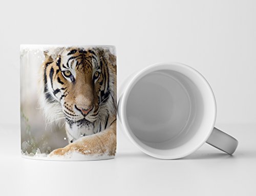 Eau Zone Fotokunst Tasse Geschenk Tierfotografie – Gesicht eines Tigers auf Felsen von Eau Zone